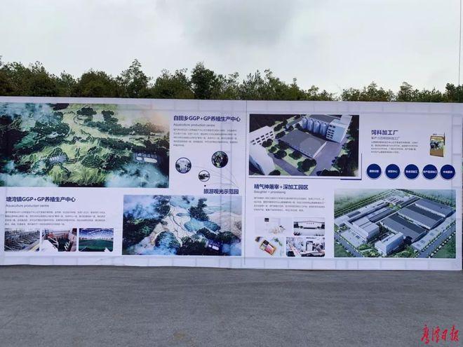 鹰潭20亿元投资项目 18000头核心群及扩繁群种建设正当时